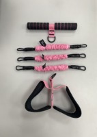 Bandas de Resistencia Portátiles Multifuncionales Aofit de Alta Resistencia con 3 Tubos Ajustables para Ejercicio y Entrenamiento Físico