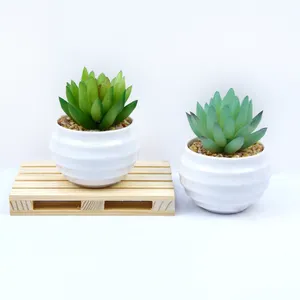 Hot Selling Mini Faux Tropical Plants Natural Bonsai Artificial Succulent Plant Pots for Desktop Hotel Home Restaurant Decor