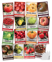 Lot de 16 variétés de graines de tomates en gros avec pochette de vente au détail personnalisée pour sachets de graines de légumes e-commerce