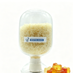 Agar Agar de Alta Calidad para Uso Alimentario, 120-280 Bloom, Gelatina en Polvo de Hueso de Pescado y Buey - Product Image 3