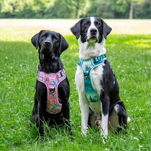 Juego de paseo para perros sin tirones de malla Oxford con logotipo personalizado con estampado de lujo con arnés, correa, collar, soporte para bolsa para caca - Product Image 2