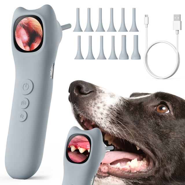 Factory Smart IPS Display Ear Camera Support Photo Video Storage Visual Ear Pick Cleaning Camera