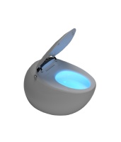 Toilette intelligente avec réservoir d'eau intégré Bidet Accessoire de salle de bain moderne et high-tech