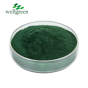 Extrait de feuille de mûrier d'usine poudre de chlorophylline de cuivre de sodium chlorophylline de cuivre de sodium naturel - Product Image 2