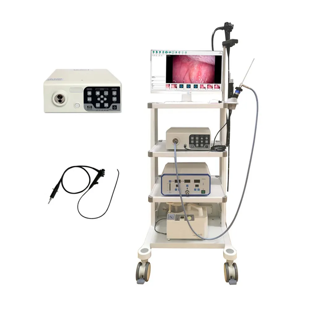 Pet için ent ve esnek kapsam kullanımı için tıbbi ekipman taşınabilir endoskopik kamera sistemi