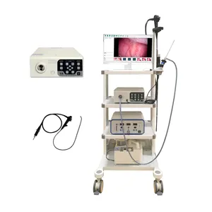 Medical equipment portable endoscopic camera system for for ent and flexible scope use for pet