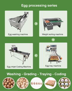 Machine d'impression à code <span class=keywords><strong>de</strong></span> date pour œufs <span class=keywords><strong>de</strong></span> poulet, <span class=keywords><strong>de</strong></span> <span class=keywords><strong>canard</strong></span> et d'oie, machine d'estampage, imprimante à jet d'encre pour œufs, vente en gros - Product Image 3