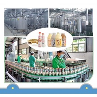 Ligne de production de lait de soja et de tofu de marque Ruifei Machines de traitement de produits à base de haricots, y compris une presse à tofu