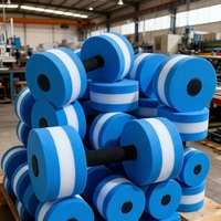 Équipement de gym écologique, coloré, non toxique, réglable, antidérapant, certifié CE/ROHS, ensemble d'haltères aquatiques flottants en mousse EVA