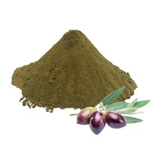 Poudre <span class=keywords><strong>d</strong></span>'extrait de feuille <span class=keywords><strong>d</strong></span>'<span class=keywords><strong>olivier</strong></span> de qualité alimentaire, Olea Europaea, 20% 40% oléuropéine - Product Image 4
