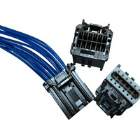 Boîtier de connecteur double rangée pour faisceau de câbles automobile, faisceau de câbles bleu 2,54 mm pour équipement de charge de véhicules électriques