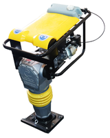 Nouveau compacteur portatif de pilon de bourrage de terre pour l'usage à la maison avec des composants de noyau de roulement de moteur de moteur