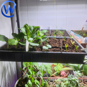 Plateaux de germination pour <span class=keywords><strong>orge</strong></span>, semis et repiquage en PP, 24x60, pour la semence de riz - Product Image 5