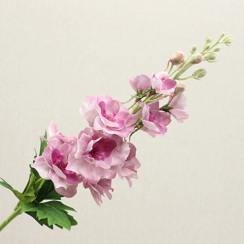 Pourpre