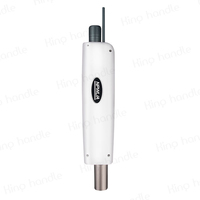 Poignée laser Nd:YAG Q-Switch professionnelle pour l'élimination des tatouages et le peeling au carbone – Outils et accessoires de soins personnels, pièces de rechange
