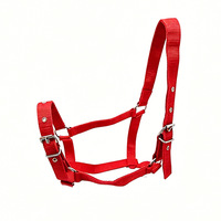 ZJFIT Collier de dressage réglable en nylon pour cheval, équipement équestre, fournitures d'écurie, taille L, origine Sichuan
