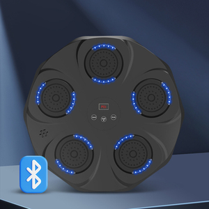 เครื่องฝึกซ้อมมวยแบบติดผนังพรีเมียม รุ่น <span class=keywords><strong>Onepunch</strong></span> พร้อมปรับความสูงได้ - Product Image 6