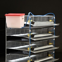 Système de cage à cailles à 6 niveaux pour usage commercial |   Cage à cailles en métal galvanisé haute capacité |   Équipement avicole professionnel