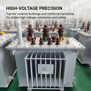Transformador <span class=keywords><strong>S22</strong></span> Compatible con Plantas de Energía Fotovoltaica, 10kV 400V 1000kW 2500kW, Transformador de Alta Tensión Sumergido en Aceite - Product Image 3