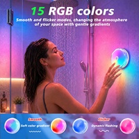 Lumière d'ambiance pour la douche imperméable, lampe à changement de couleur rechargeable magnétique