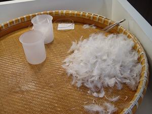 Relleno <span class=keywords><strong>de</strong></span> plumas <span class=keywords><strong>de</strong></span> pato blanco <span class=keywords><strong>de</strong></span> alta calidad, plumón blanco lavado para chaqueta Nórdica - Product Image 4