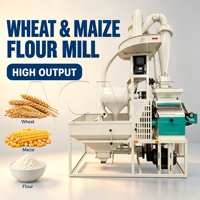 Machine à moudre le maïs 200-300 kg par heure pour les transformateurs de céréales au Nigeria