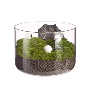 Contenitore per terrario in vetro vasi cilindrici terrario per piante in barattolo di vetro