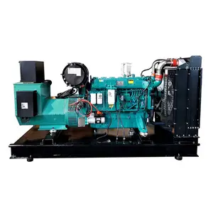 Precio barato de segunda mano alimentado por motor Ricardo 200KW 250KVA generador diésel de potencia Kva grupos electrógenos diésel silenciosos