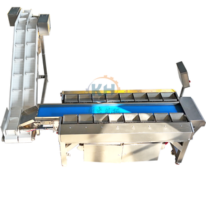 Balance combinée multi-têtes 16 pour pesage par lots de filets de poisson congelés (saumon, pangasius) – Balance combinée pour la mesure du poids - Product Image 4