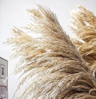 Buket Rumput Pampas Kering 46 Inci 10 Tangkai, Dekorasi Rumah Gaya Farmhouse Boho untuk Pernikahan (Cokelat) Hari Ibu Natal