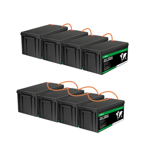 8000 chu kỳ M8 thiết bị đầu cuối <span class=keywords><strong>Lithium</strong></span> <span class=keywords><strong>Ion</strong></span> 18650 pin năng lượng mặt trời Pin 24V LiFePO4 100Ah - Product Image 2