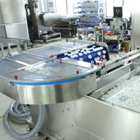 Machine de marquage laser pour la traçabilité des bouchons de bouteilles de boissons, l'étiquetage transparent, le code Data Matrix, la gravure laser et le contrôle visuel