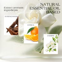 Diffuseur de parfum à bâtonnets personnalisé, longue durée, parfum léger, huile essentielle, parfum d'intérieur de luxe pour chambre à coucher, hommes et femmes, usage domestique