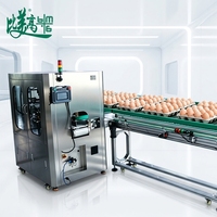 Haute vitesse 360 °   Machine d'inspection visuelle des cartons à œufs avec système de détection d'étiquettes et de rejet automatique CE pour ligne d'emballage alimentaire