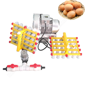 Máquina flejadora automática de huevos Máquina de succión al vacío para huevos Máquina de recolección y envasado de huevos de succión automática al vacío - Product Image 4
