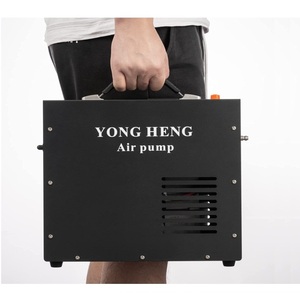 12V/220V Doppelspannungs-PCP-Kompressor - Product Image 2