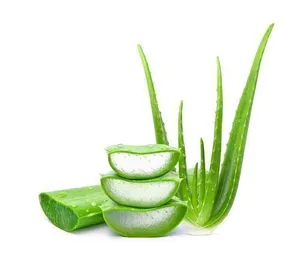 ¡ALOE VERA FRESCO! -PRODUCTO NATURAL DE VIETNAM CON EL MEJOR PRECIO, ALTA CALIDAD EN 2023