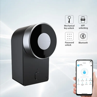 Serrure intelligente électronique Bluetooth automatique de style européen TTlock pour la maison, Airbnb, hôtel, porte d'entrée