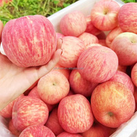 Beste kwaliteit JUFU merk Fuji rode sappige appels Shandong hoge versheid zoete kwaliteit 1 nieuwste oogst koude opslag geëxporteerd gecertificeerd