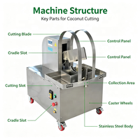 Automatische Hochleistungs-Produktionslinie aus Edelstahl 304 für Kokoswassergetränke mit Kokosnuss-Schneidemaschine