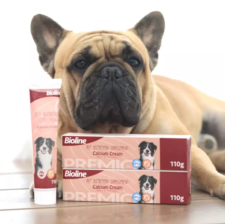 Добавление болгарского лактобацилла пробиотика питомцы добавки кальций питательный крем для собак