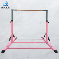 Barre horizontale de gymnastique de haute qualité pour l'entraînement en intérieur et en extérieur