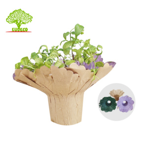 Porte-bouquet en papier kraft Couvercle de pot pour <span class=keywords><strong>plante</strong></span> en pot <span class=keywords><strong>Plante</strong></span> fraîche et bouquet de fleurs - Product Image 4