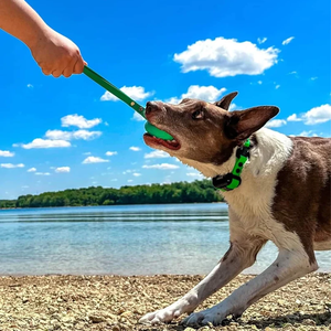 Nuovo Arrivo: Pallina da Tennis Personalizzabile con Logo per Cani, Porta Palline da Tennis in PVC, Guinzaglio per Cani per Giochi all'Aperto - Product Image 6