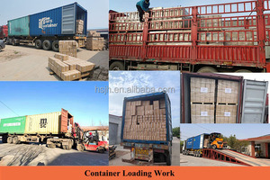 Ricambi per autocarri ammortizzatori sospensioni pneumatiche DAF 1265281 - Product Image 5