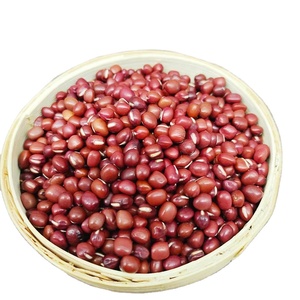 Venta al por Mayor de Frijoles <span class=keywords><strong>Adzuki</strong></span> Grandes, Frijoles Rojos Pequeños, Frijoles de Bambú - Product Image 1