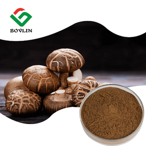 Натуральный органический порошок экстракта гриба шиитаке с витаминами и 30% полисахаридов, оптом в бутылочной упаковке - Product Image 1