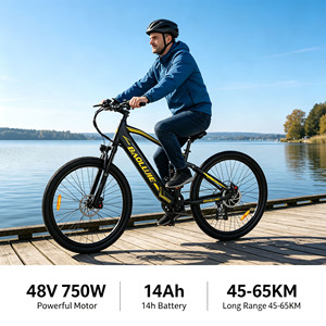 Bicicleta eléctrica de montaña EU en stock, 750W, neumáticos gruesos, 48V 14Ah, largo alcance, 45KM/H, para adultos, 29 pulgadas, modelo DS-2903. - Product Image 2