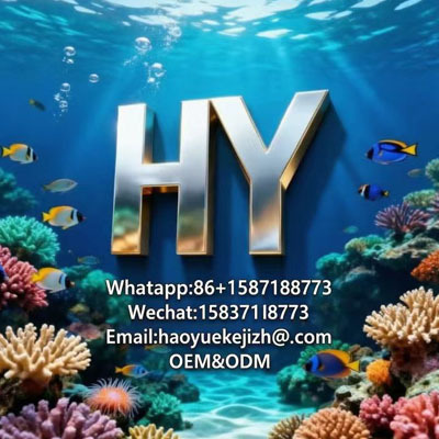 Henan Haoyue Technology Co., Ltd. logo