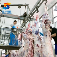 Système de levage automatique des bovins pour abattoir de bétail, machine d'abattage du bétail